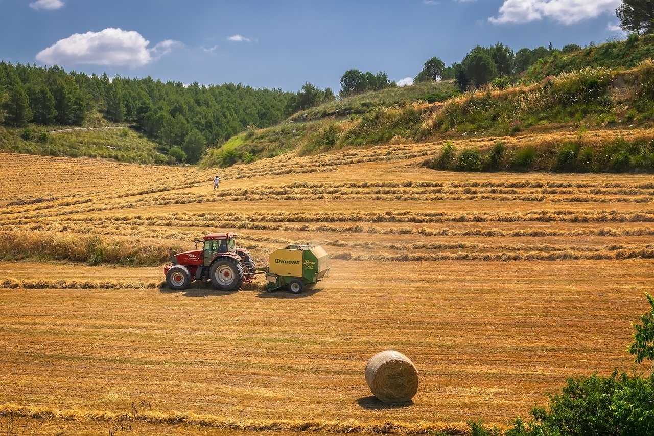 harvest, tractor, agriculture-3914269.jpg